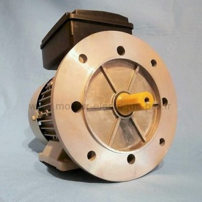 moteur electrique 220V