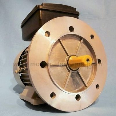 moteur electrique 220v mono