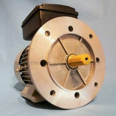 Moteur électrique monophasé 0.12kW 3000 B35
