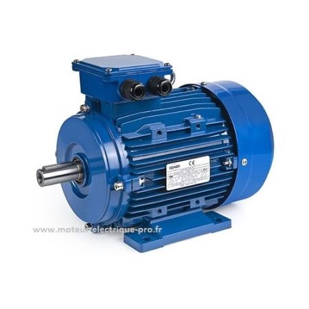 Moteur électrique CEMER 3KW 3000 B3 Type MS100L1 2